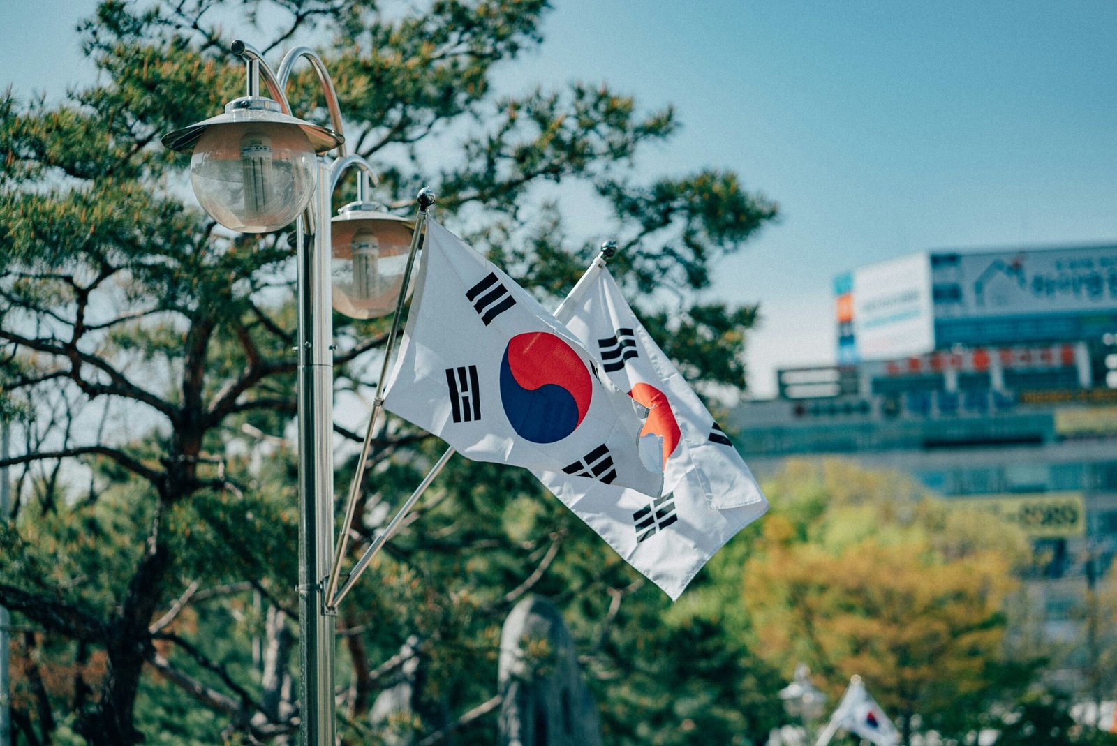 Bandera de Corea del Sur ondeando