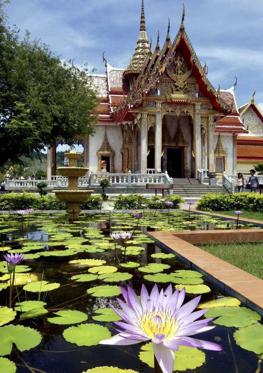 Templo budista con lotos en Bangkok, Tailandia